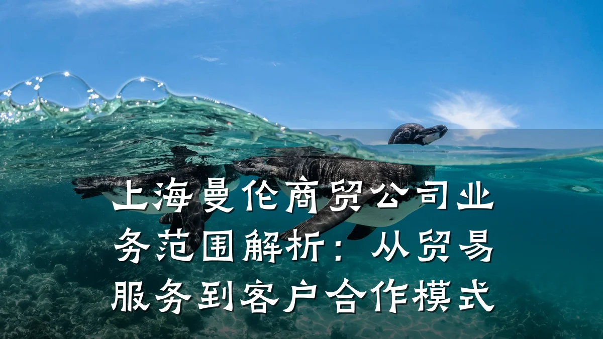 上海曼伦商贸公司业务范围解析:从贸易服务到客户合作模式