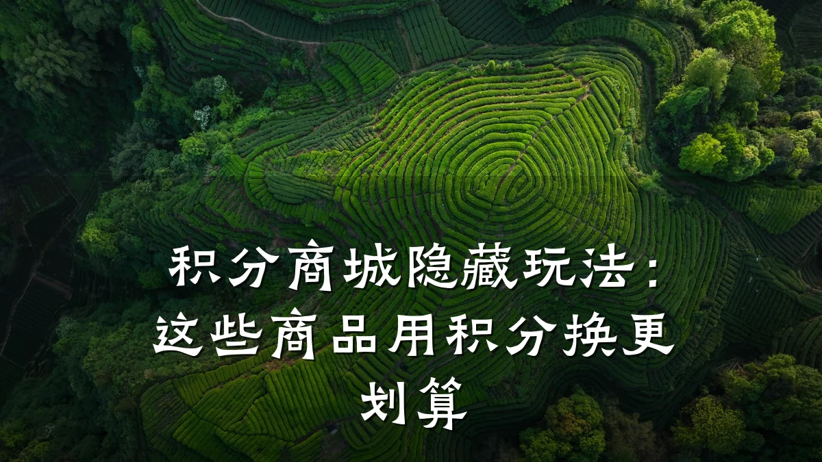积分商城隐藏玩法：这些商品用积分换更划算