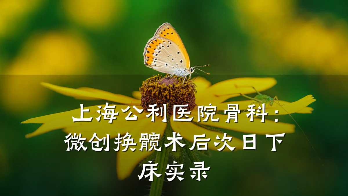 上海公利医院骨科：微创换髋术后次日下床实录