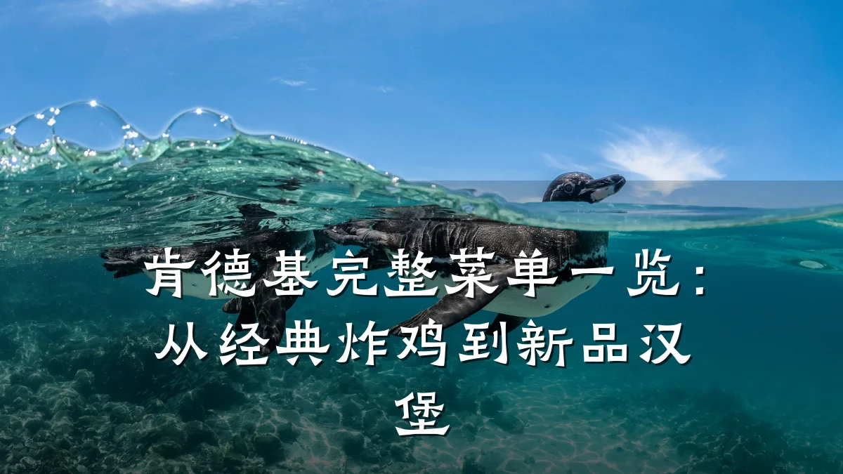 肯德基完整菜单一览:从经典炸鸡到新品汉堡