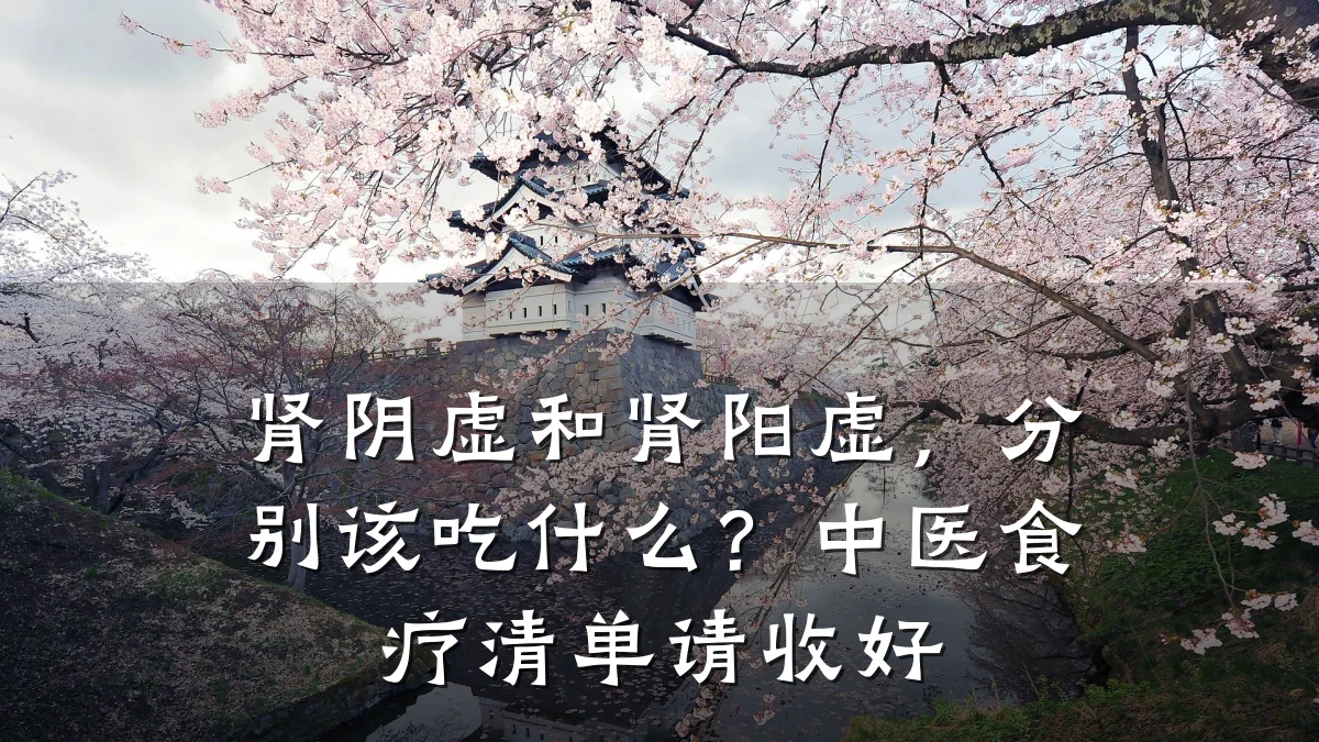 肾阴虚和肾阳虚，分别该吃什么？中医食疗清单请收好