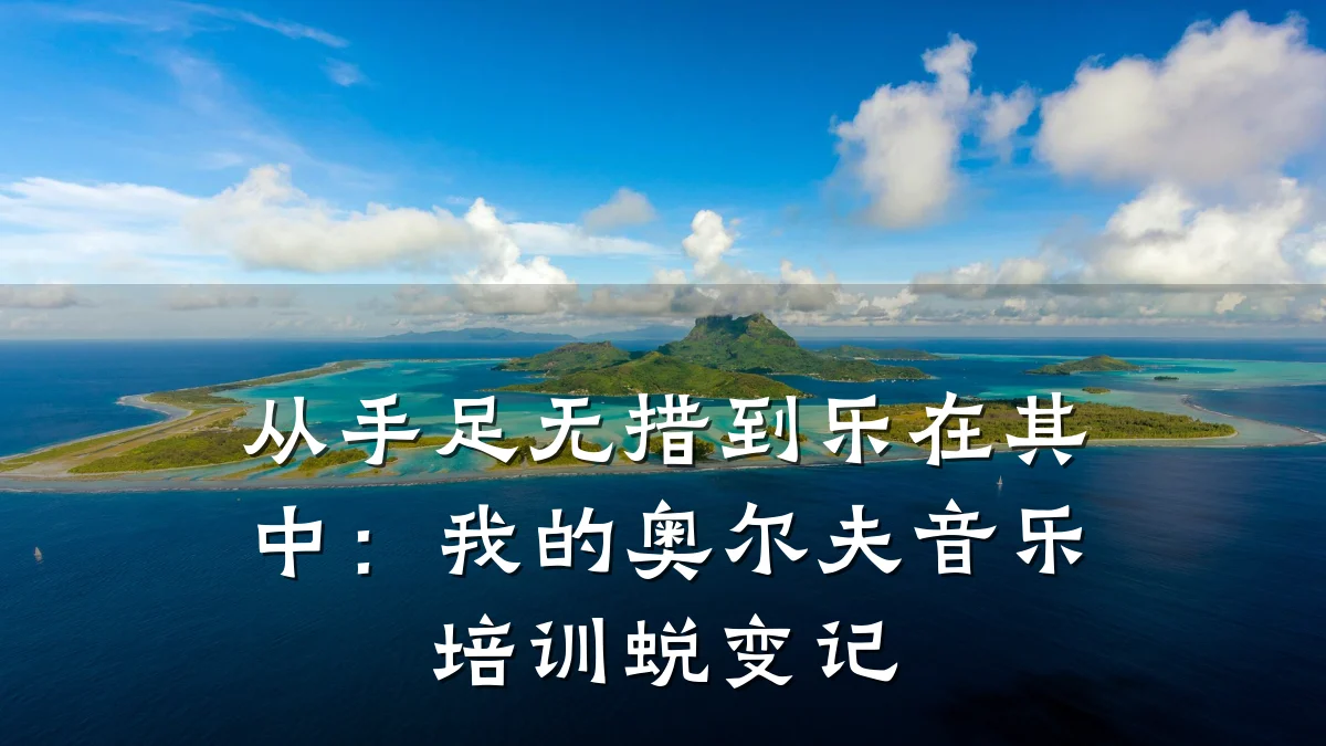 从手足无措到乐在其中：我的奥尔夫音乐培训蜕变记