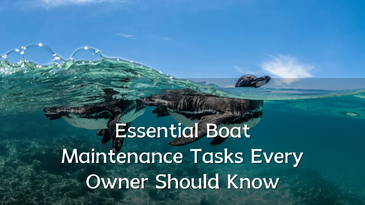Essential Boat Maintenance Tasks Every Owner Should Know