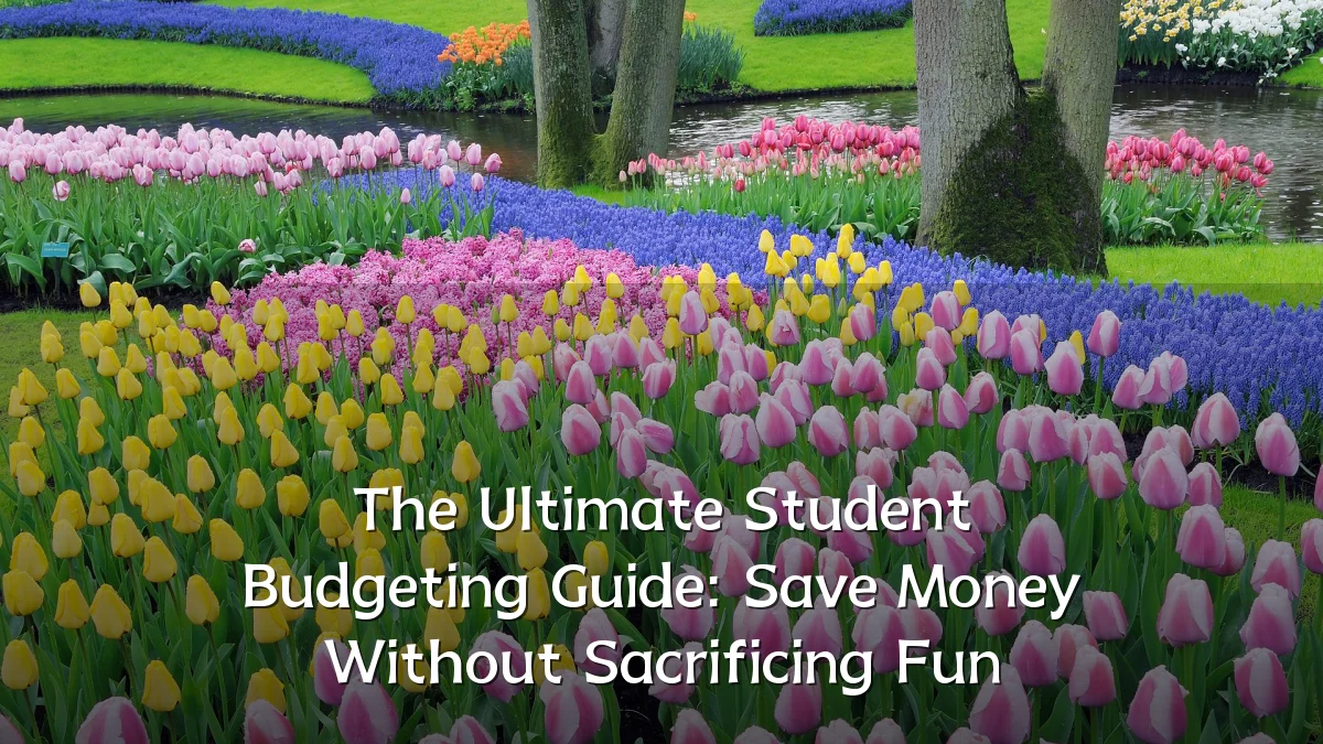 The Ultimate Student Budgeting Guide: Save Money Without Sacrificing Fun