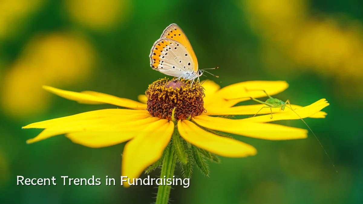 Recent Trends in Fundraising