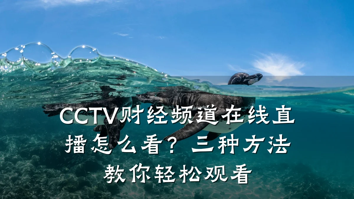 CCTV财经频道在线直播怎么看?三种方法教你轻松观看