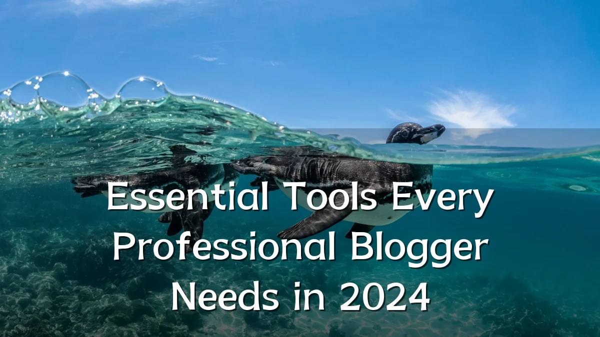 Essential Tools Every Professional Blogger Needs in 2024