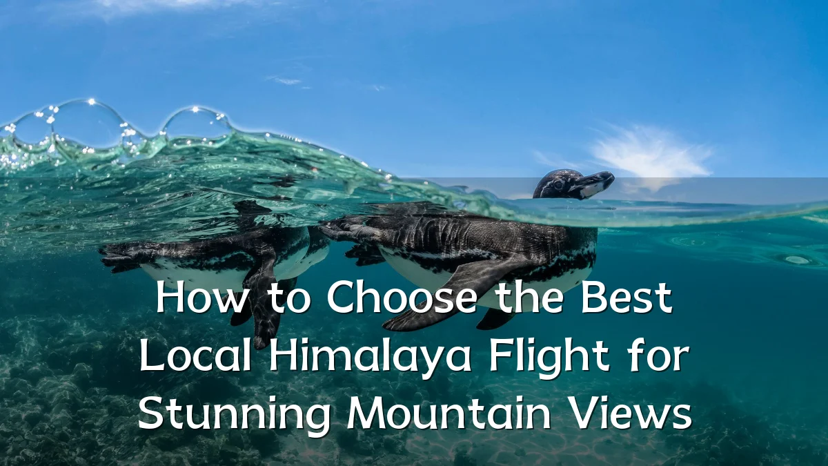 How to Choose the Best Local Himalaya Flight for Stunning Mountain Views