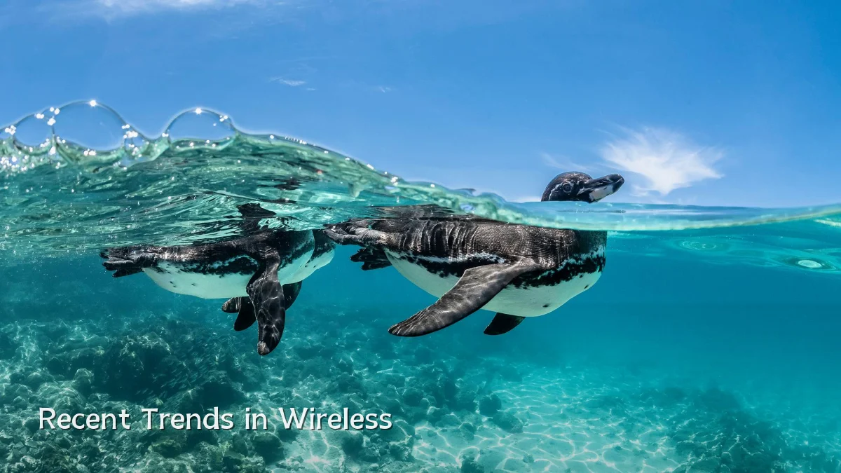 Recent Trends in Wireless