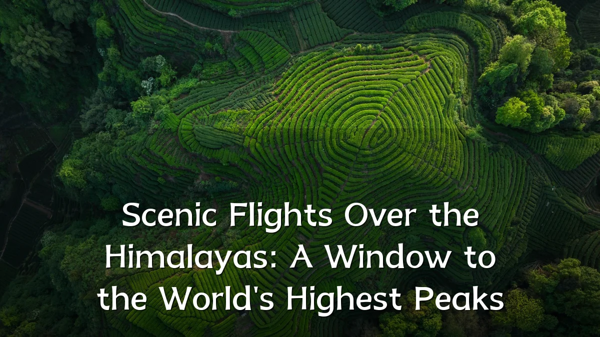 Scenic Flights Over the Himalayas: A Window to the World's Highest Peaks