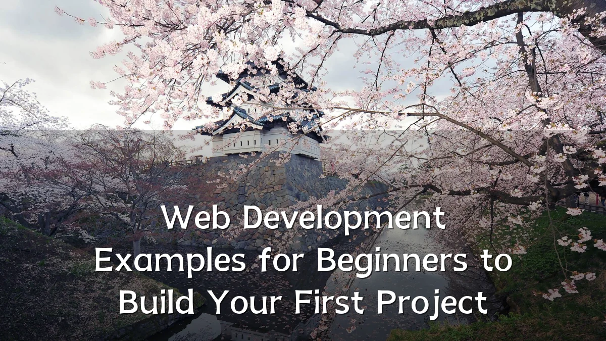 Web Development Examples for Beginners to Build Your First Project