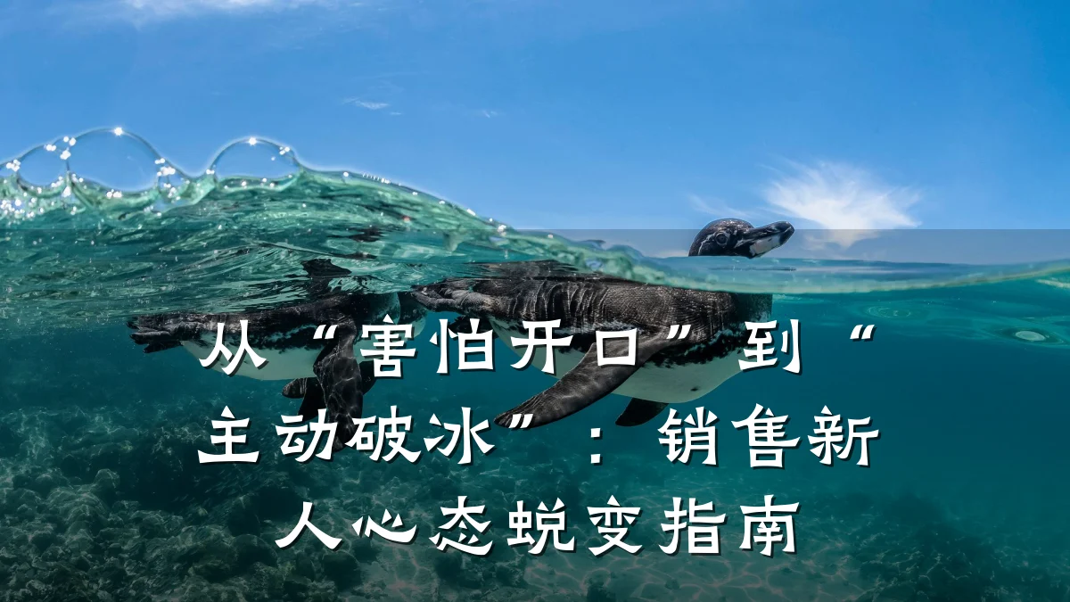 从“害怕开口”到“主动破冰”：销售新人心态蜕变指南