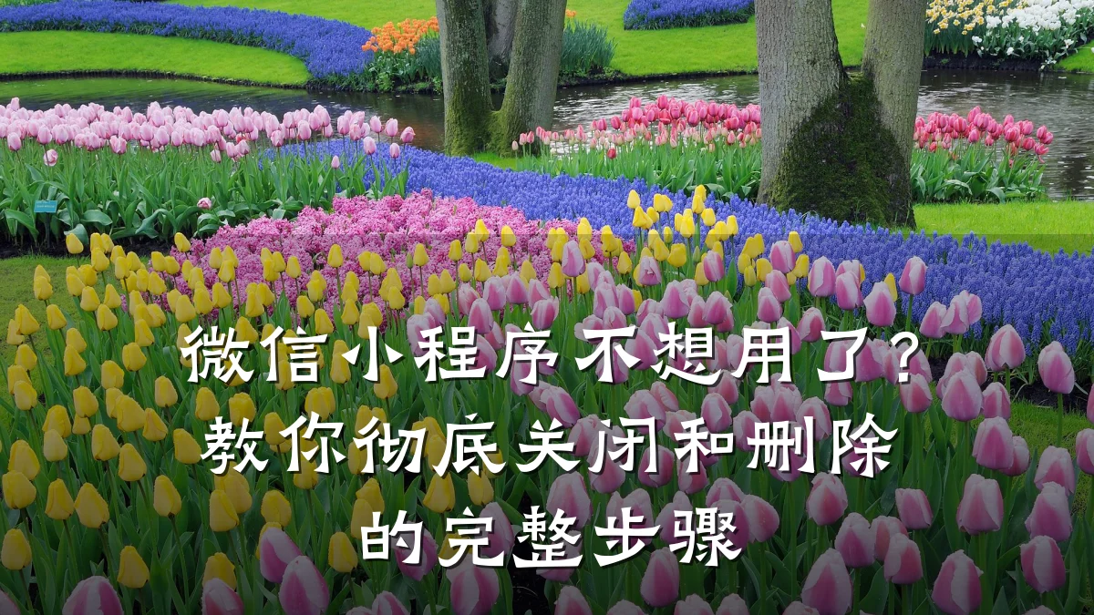 微信小程序不想用了?教你彻底关闭和删除的完整步骤