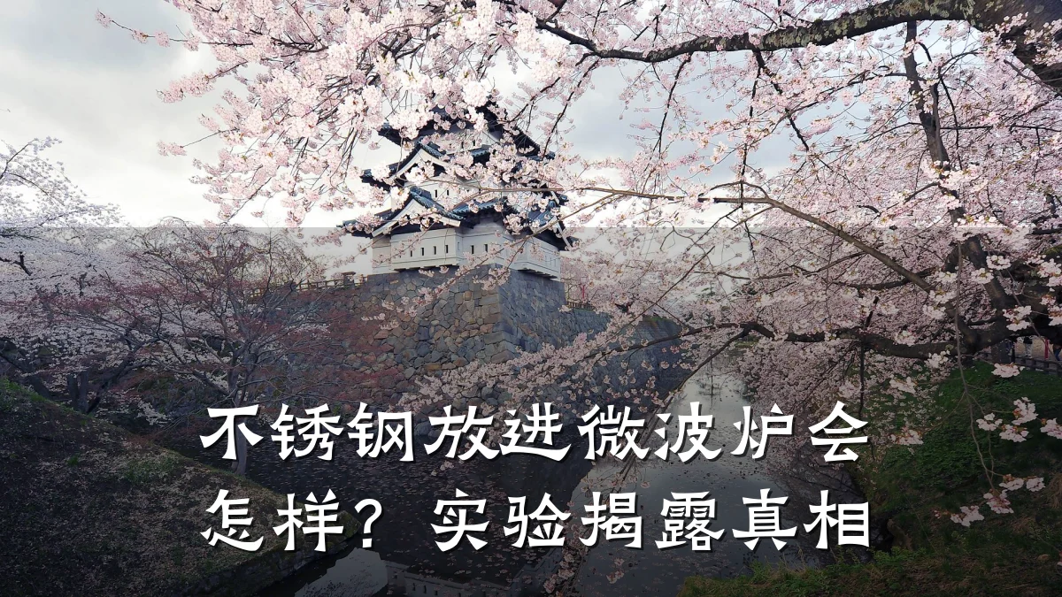 不锈钢放进微波炉会怎样？实验揭露真相