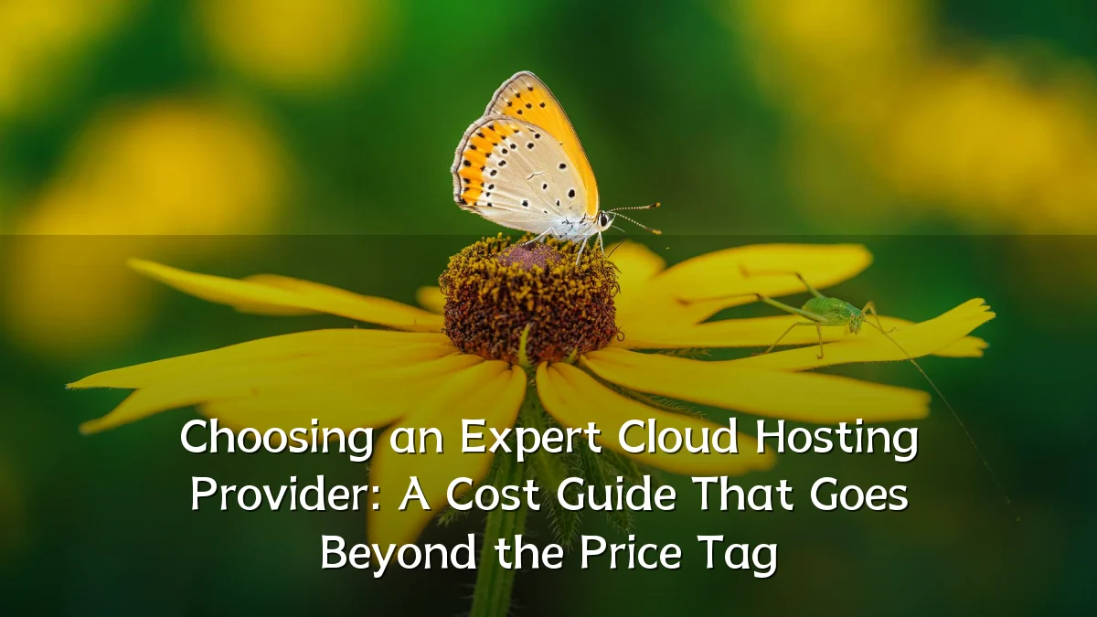 Choosing an Expert Cloud Hosting Provider: A Cost Guide That Goes Beyond the Price Tag