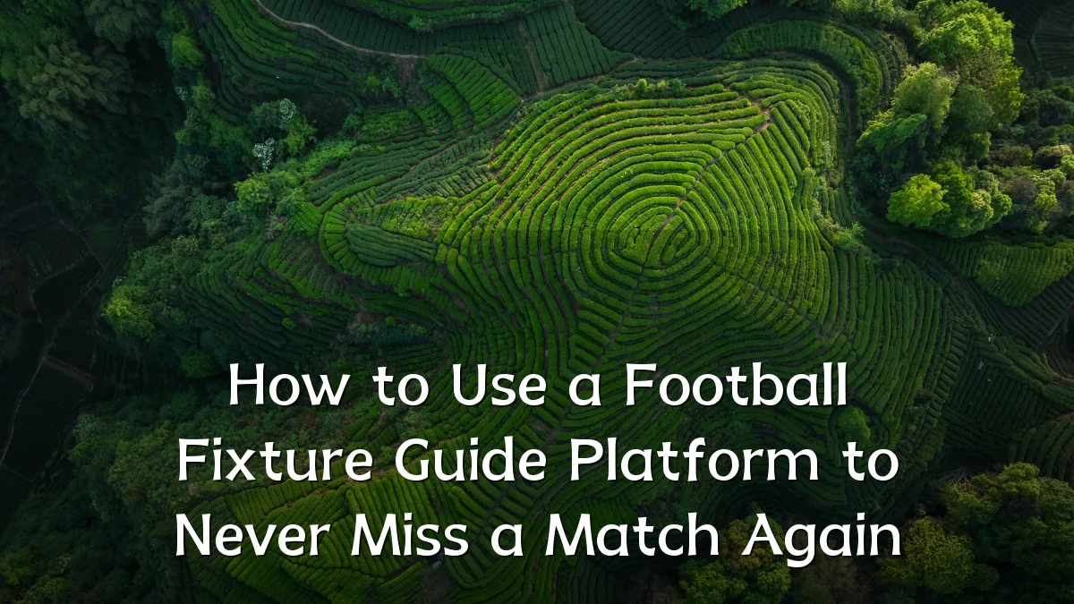 How to Use a Football Fixture Guide Platform to Never Miss a Match Again